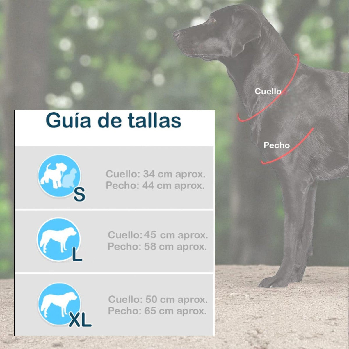 JINETE VAQUERO