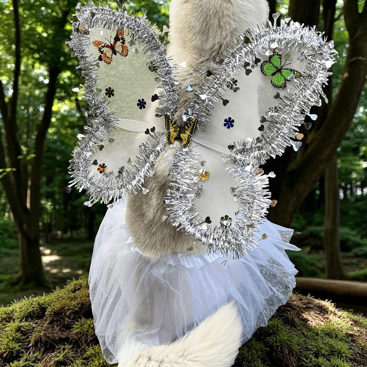 ANGEL BLANCO
