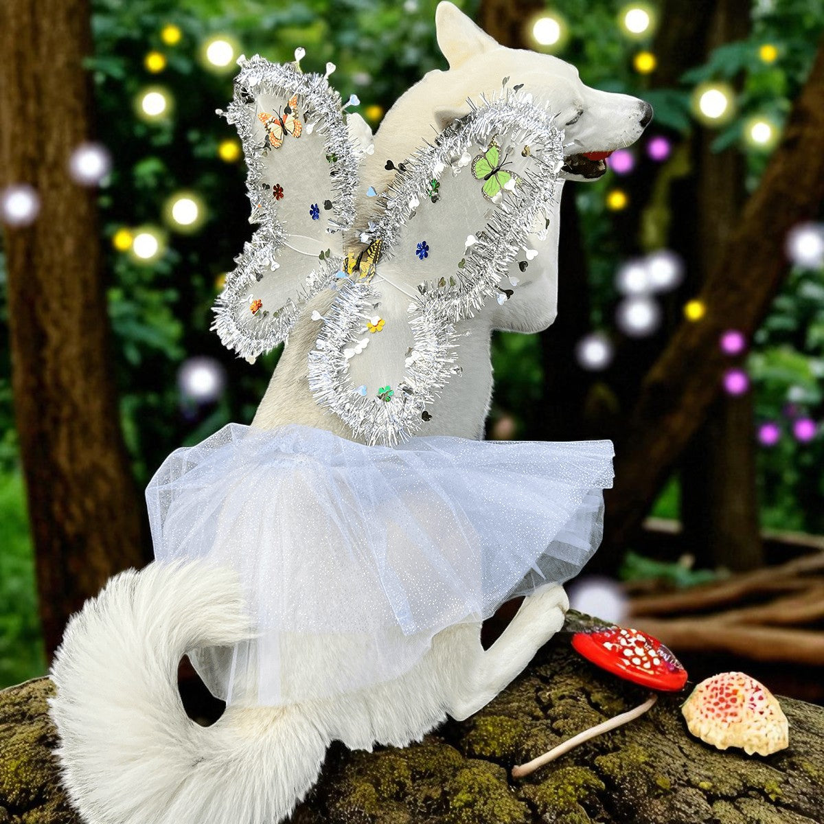 ANGEL BLANCO