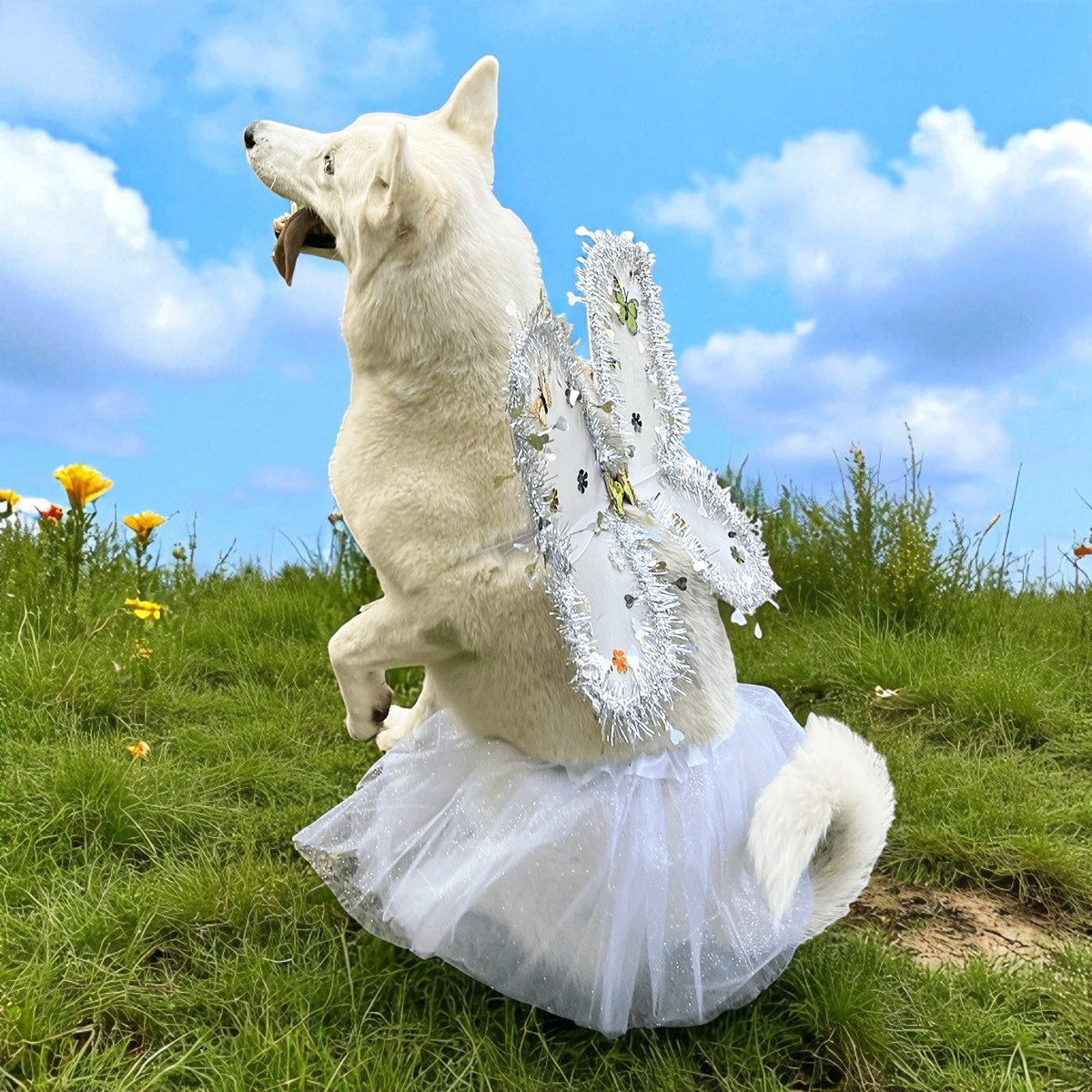 ANGEL BLANCO