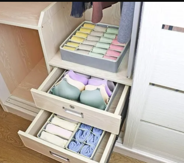 ORGANIZADORES DE ROPA INTERIOR
