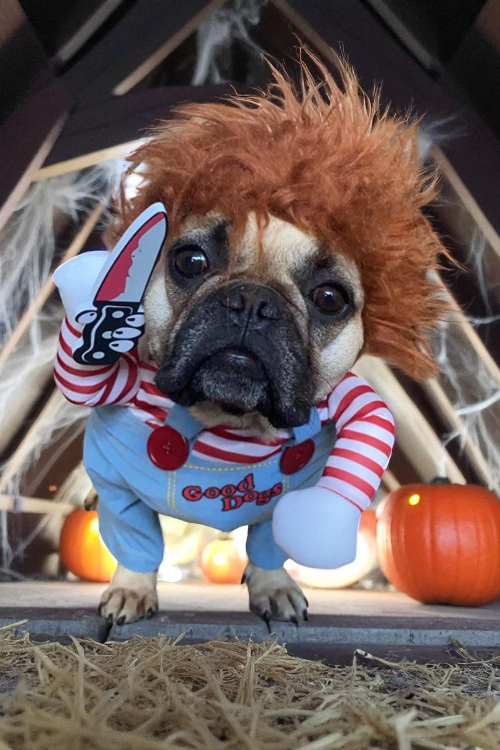 DISFRAZ CHUCKY PARA PERRITOS