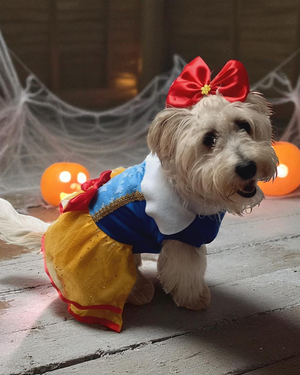 Disfraz Blancanieves Perritos