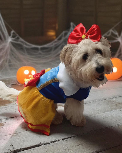 Disfraz Blancanieves Perritos